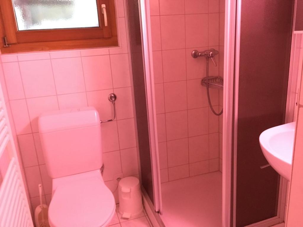 Chalet Marina Albinen Екстер'єр фото